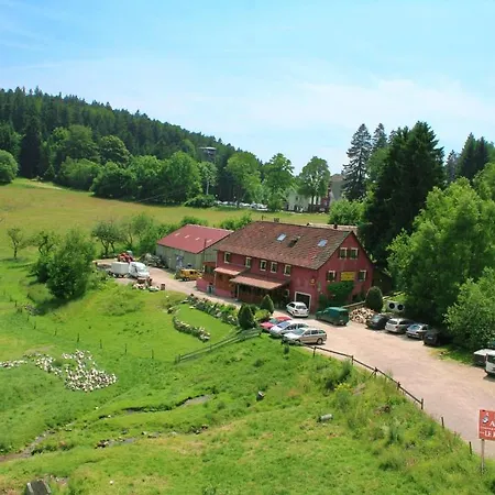 Du Kreuzweg Le Hohwald