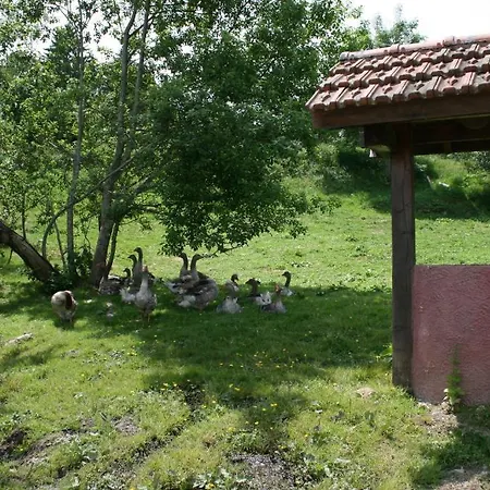 Du Kreuzweg Apartman