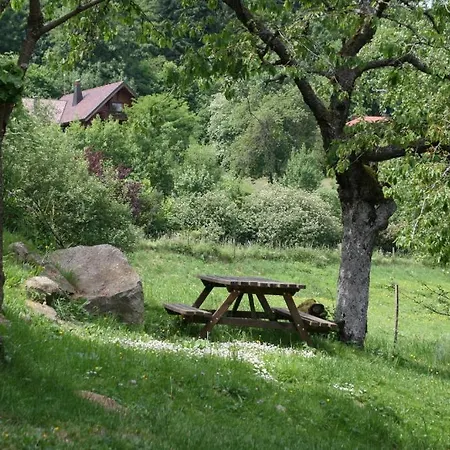 Du Kreuzweg * Le Hohwald