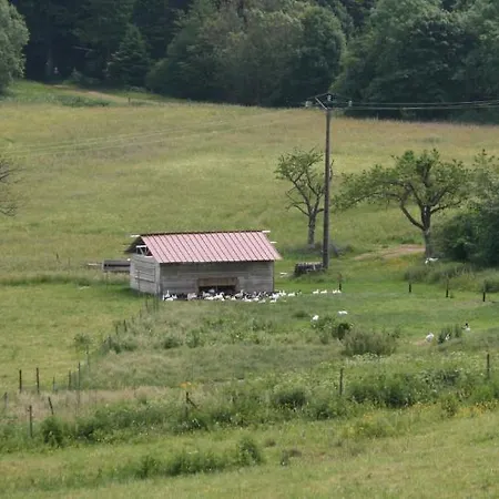 Du Kreuzweg